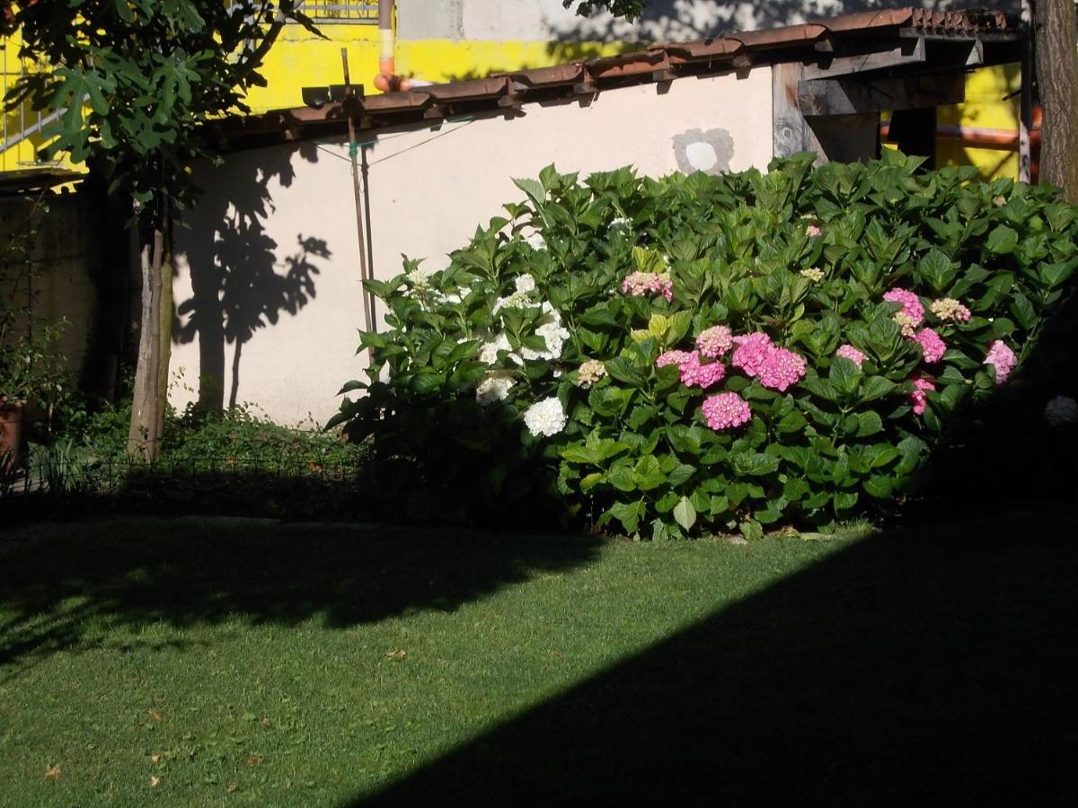Les Hirondelles Bed & Breakfast Fenis Exterior foto