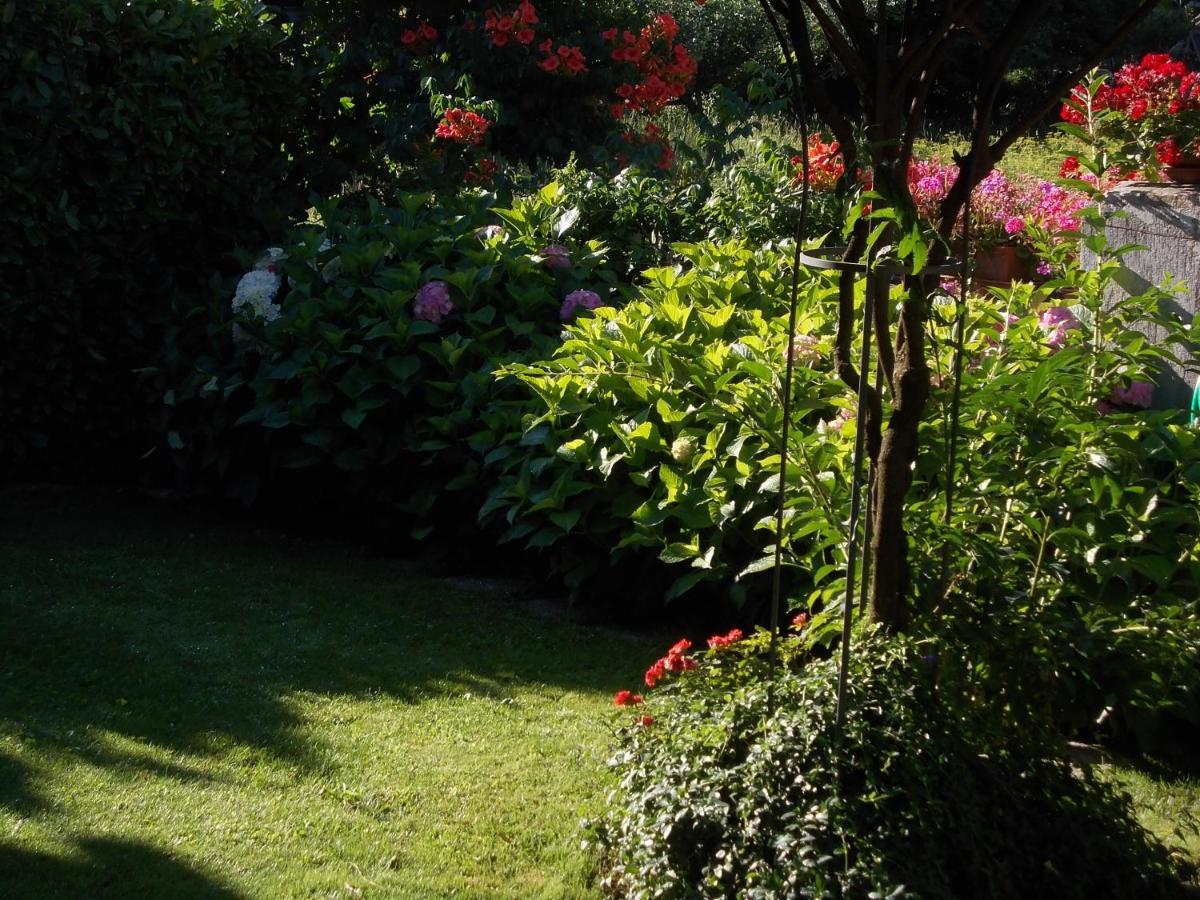Les Hirondelles Bed & Breakfast Fenis Exterior foto